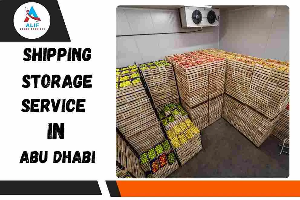 Shipping Storage Services in Abu Dhabi